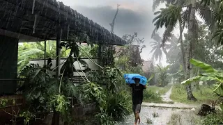 Super heavy rain and strong winds village | Sleep fast with the sound of heavy rain and thunder