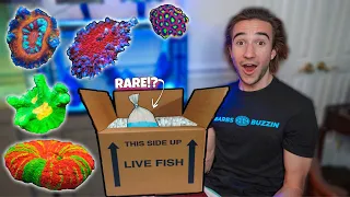 UNBOXING COLORFUL CORALS In MYSTERY BOX!