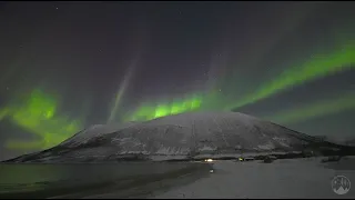 AURORA AT THE BEACH - 4K real-time northern lights February 19th 2021