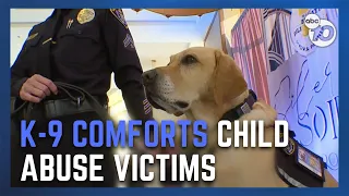 SDPD K9 comforts victims being interviewed by Child Abuse Unit