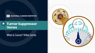 Tumor Suppressor Genes: What is Cancer? Video Series