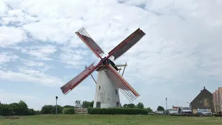 Brassers Korenmolen Biggekerke malend op 4 Juni