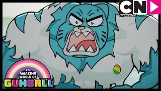 Gumball | Watterson's Lose All Of Their Money | Cartoon Network