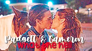 𝐰𝐡𝐚𝐭 𝐭𝐡𝐞 𝐡𝐞𝐥𝐥 | padgett & cameron | he’s all that