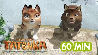 Les Légendes de Tatonka 🐺 Episodes Complets | 1H | Dessins animés