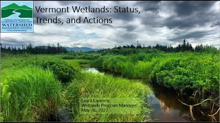 Clean Water Lecture Series: How are Vermont's Wetlands Doing and How Can I Support Them?