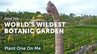 Nong Nooch: The World's Wildest Botanic Garden — Plant One On Me — Ep. 144