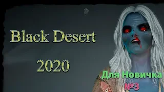 Гайд для новичка №3 в Black Desert 2020