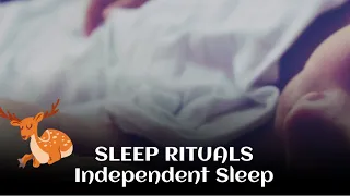 Bedtime Rituals for Kids and Babysitter | Independent Sleep for Kids | What really works? |
