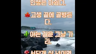 요즘속담