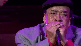 Downchild - "What Was I Thinking" (Featuring James Cotton)