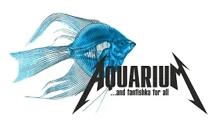 СКАЛЯРИИ - АНГЕЛЫ АКВАРИУМА: содержание, совместимость и драки скалок в аквариуме!