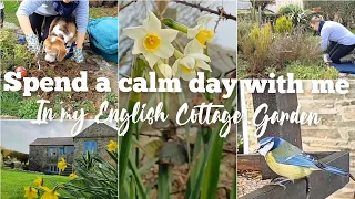 Slow Living in my English Cottage Garden/English Birds/Weeding/Garden Vlog/ASMR/Living simply/Spring