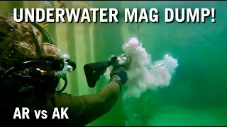 AR vs. AK.....Underwater