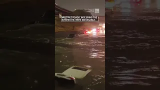 Flooding in Dallas, Texas, strands cars, forcing water rescues