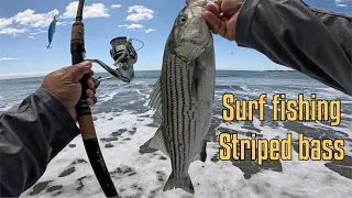 SANTA CRUZ STRIPER LIMITS CINCO DE MAYO LUCKY CRAFT FLASH MINNOW