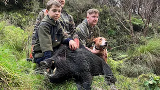 Nz pig hunting a few good boars for the year