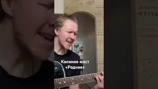 Калинов мост «Родная» #нагитаре #onguitar #guitarplayer #гитара #гитарист #песнинагитаре #питер