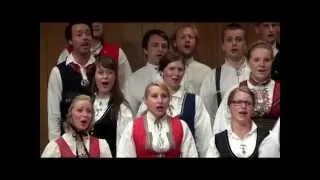 Henrik Odegaard - Telemarkspringar - Norwegian National Youth Choir (Norvegia)