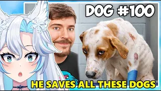 HE SAVED 100 DOGS FROM DYING!!! || MrBeast React