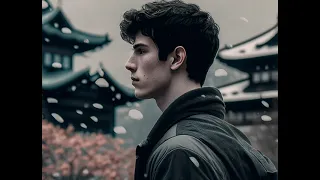 Shawn Mendes - Lost in Japan (Official Audio HQ 320kbps)