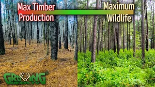 How to Manage Timber Stands for Quality Wildlife Habitat (611)