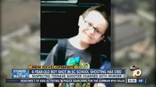6-year-old boy shot in South Carolina school shooting dies