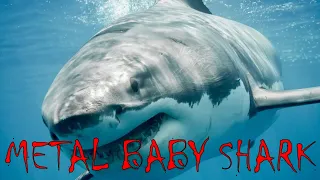 METAL BABY SHARK