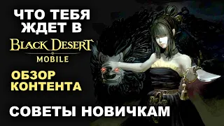 📱 BDM: Что тебя ждет в БДМ? Обзор контента в Black Desert Mobile