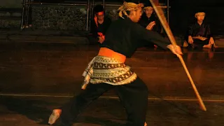 Pencak silat, Indonesian martial arts