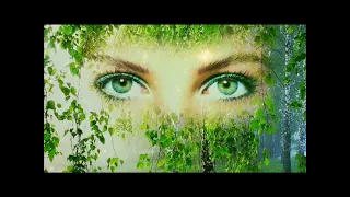 Moishe - У беды глаза зелёные (orig.  Сергей Беликов)