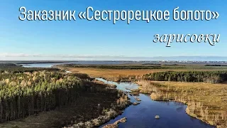 Заказник (ООПТ) "Сестрорецкое болото",  зарисовки, аэросъемка