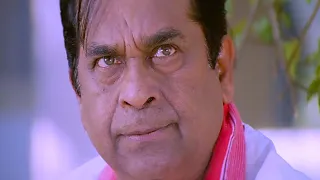 Brahmanandam Super Comedy Scenes | Telugu Comedy Scenes 2024 | Funtastic Comedy