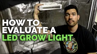 3 Things You MUST Know Before Buying an LED Grow Light 🌱💡