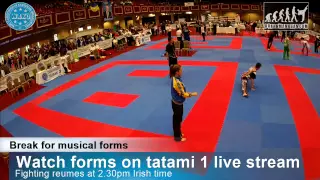 Tatami 3 WAKO World Championships 2015, Dublin, 26/11/15