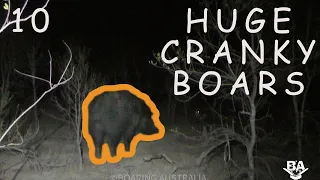 EP10 OFF GRID: NOTHING BUT TALL CRANKY BOARS 3 CRACKERS & LOOK INSIDE OUR CAMP