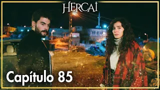 Hercai - Capítulo 85