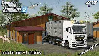 Expanding the FARM - BUYING SHEEP | Animals on Haut-Beyleron | Farming Simulator 22 | Episode 17