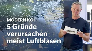 Woher kommen die Luftblasen auf dem Teichwasser | Modern Koi Blog #6680