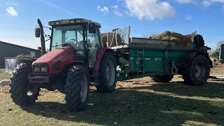 Farmvlog#64 Praktikum auf der Insel Föhr Teil:2