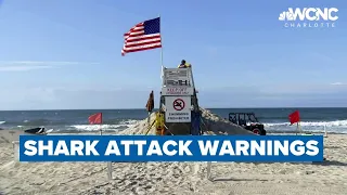 String of shark attacks in New York