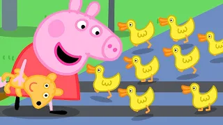 Kids Videos | Peppa Pig Spots Ducks Ahead Of The Train! | Peppa Pig Official | New Peppa Pig