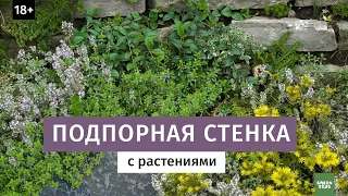 Подпорная стенка с растениями.