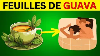 11 Bienfaits du Thé de Gava Qui Vont Vous Époustoufler!