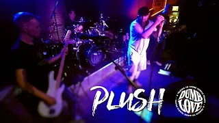 Plush - Performed by Dumb Love