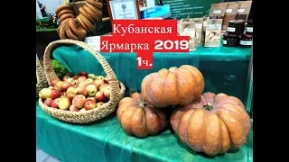 Кубанская ярмарка 2019 (ч.1)