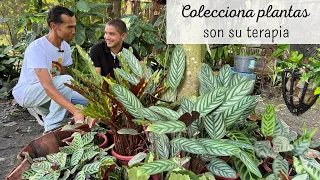 LAS PLANTAS LE AYUDARON A SANAR | la colección de plantas de José