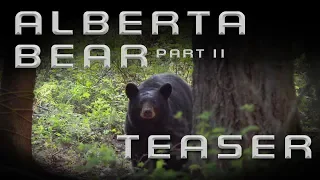 Southern Vanes: Season 3 | Alberta Bear Part 2 | Teaser