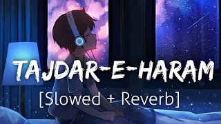 Tajdar-E-Haram [Slowed+Reverb] |Atif Aslam Coke studio | Textaudio | Lofi