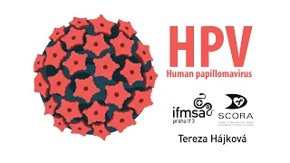 HPV a rakovina (nejen) děložního čípku